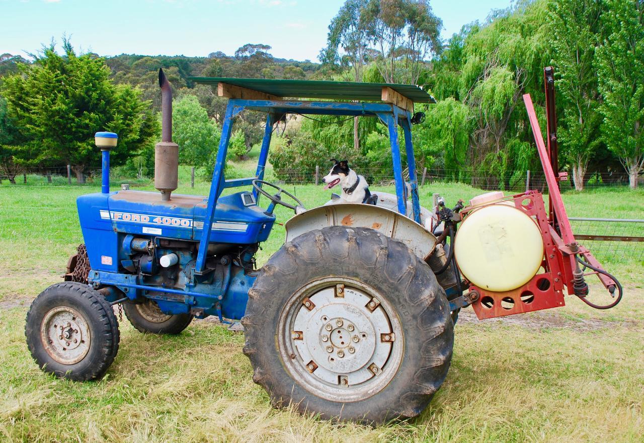 ויקטור הרבור Back Valley Farmstay Bed And Breakfast מראה חיצוני תמונה