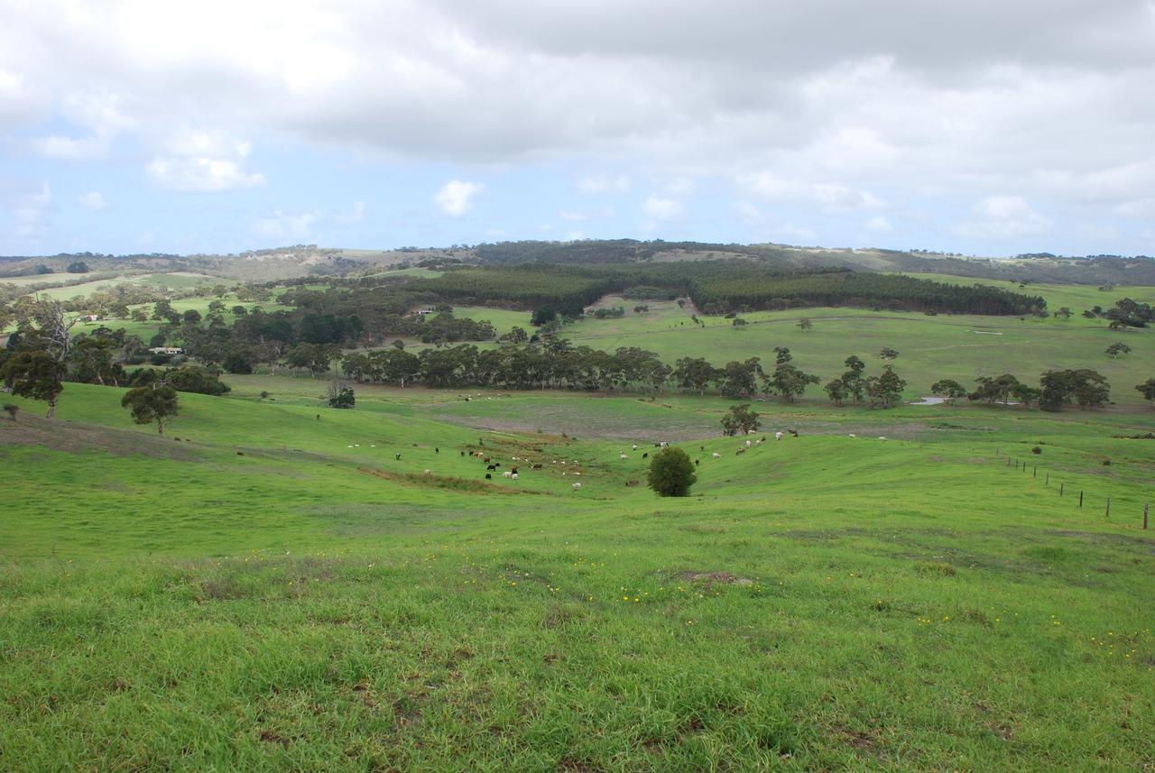 ויקטור הרבור Back Valley Farmstay Bed And Breakfast מראה חיצוני תמונה